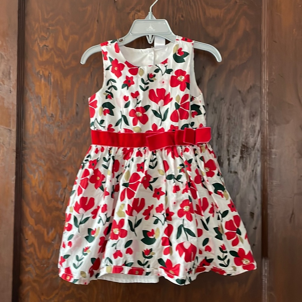 Holiday Pointsetta holiday dress 3T